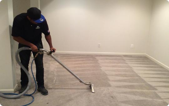 Carpet Stain Removal Service in Hempstead